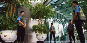 dich vu bao ve